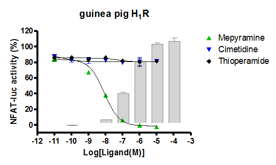 guinea pig H1R functional